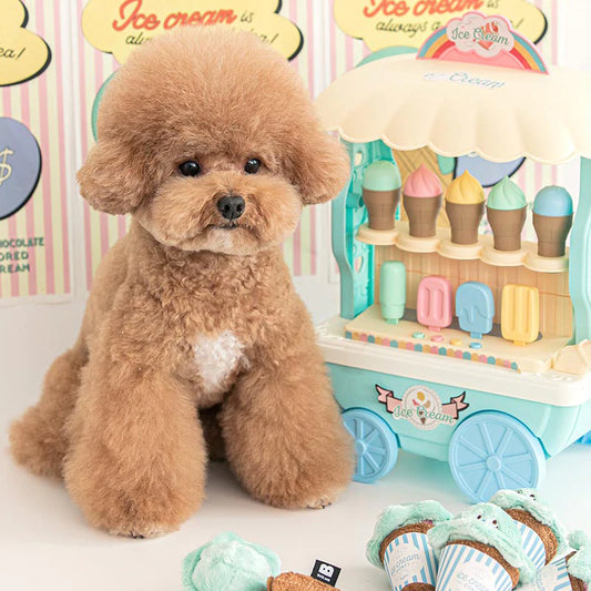 MINT CHOCOLATE ICE CREAM TOY