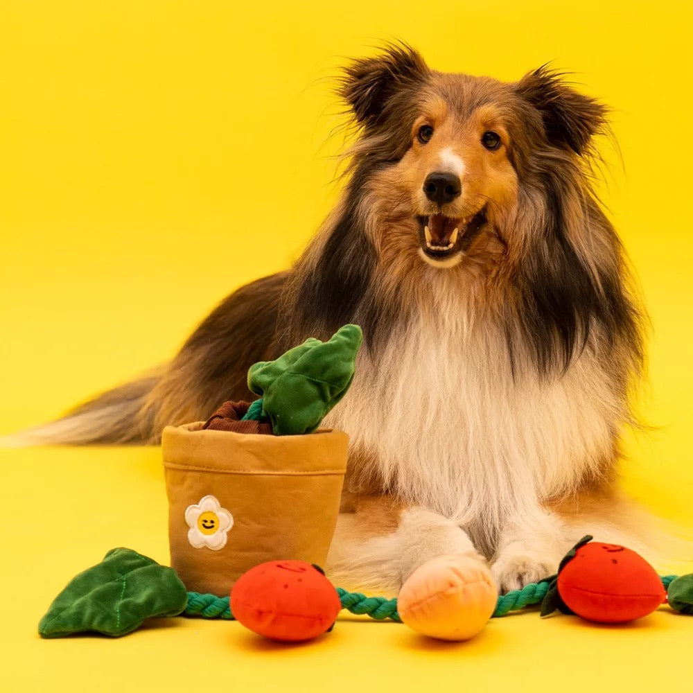 STRAWBERRY  HOUSEPLANTS TOY