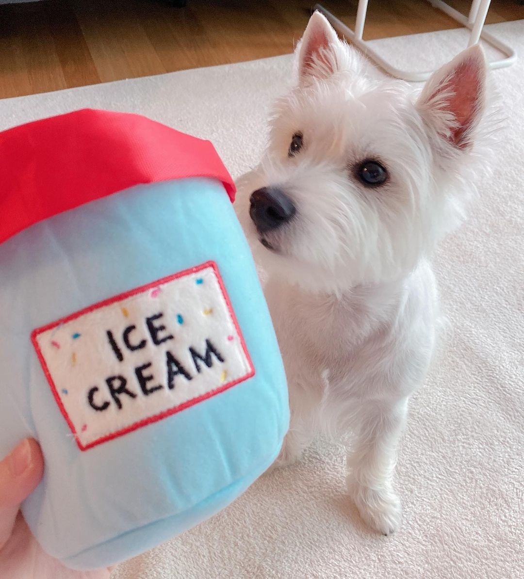 ICE CREAM HIDE & SEEK TOY