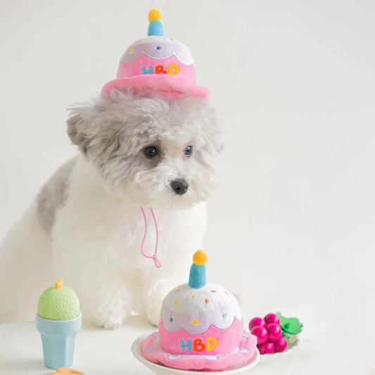 HBD BIRTHDAY HAT TOY