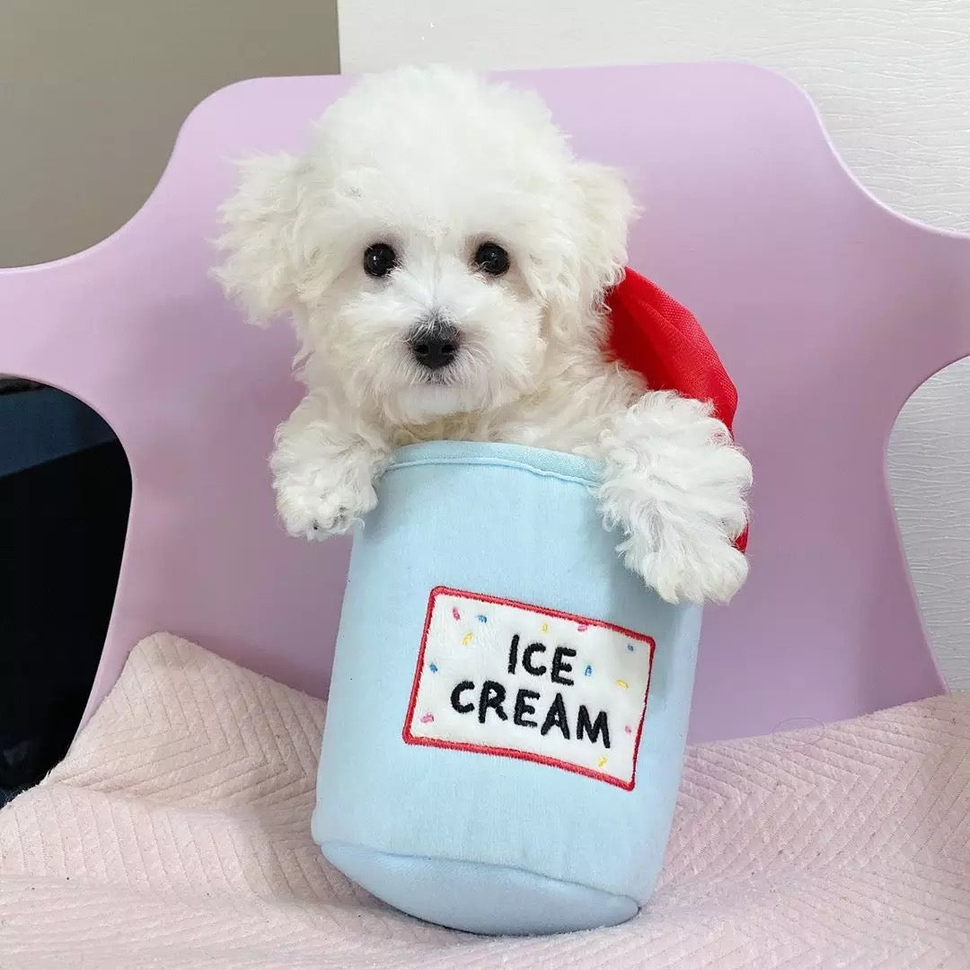 ICE CREAM HIDE & SEEK TOY