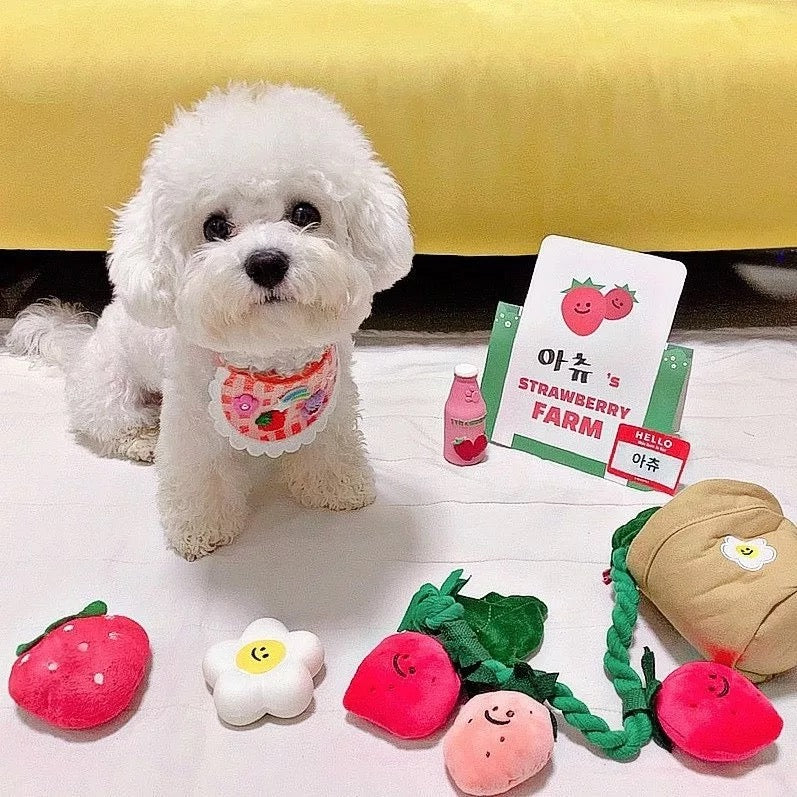 STRAWBERRY  HOUSEPLANTS TOY